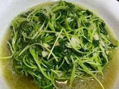 鸡毛菜-黄家酸菜鱼(祥生福田花园店)