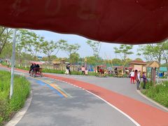 -上海长兴岛郊野公园