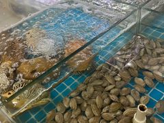 -海之鲜大排档(东山海鲜金銮湾店)