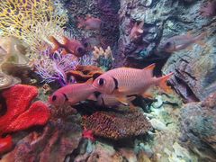 -太平洋海底世界