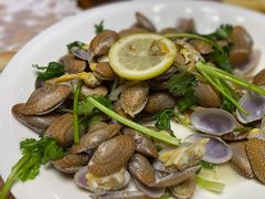 -石岐乳鸽村(南海第三分店)
