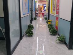 -童程童美·信息学竞赛·机器人编程·少儿编程(五棵松万达校区)