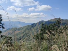 -军营村
