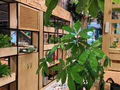 -四季合味椰子鸡(南山大冲店)