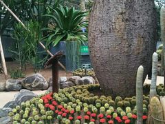 -南山植物园