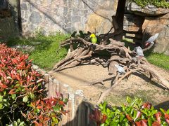 -大连森林动物园