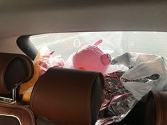 -王浩儿纪六孃甜皮鸭(乐山总店)