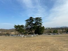 -钟山体育运动公园