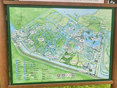 -泗洪洪泽湖湿地景区