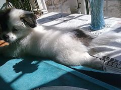 -云端咖啡私房店(河松街店)