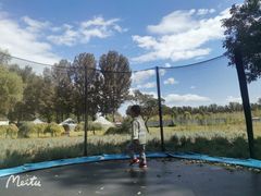 -歆和农庄·烤全羊