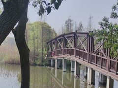 -同里国家湿地公园