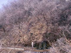 -北京西山国家森林公园