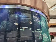 -OPEN開全日自助餐厅·牛肉火锅·海鲜(佛山希尔顿酒店)