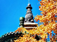 -北京石刻艺术博物馆(五塔寺)