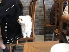 -庄行曹记羊肉(泗泾店)