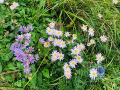 -白草畔自然风景区