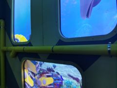 -珠海横琴国家地理探险家中心(创新方)