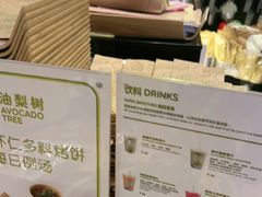 -油梨树 AVOCADO TREE(亮马桥店)