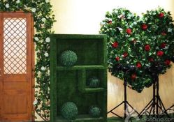 -戛纳印象摄影(潮拍定制馆)