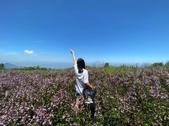 -武陵山森林公园