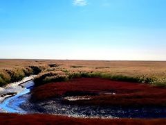 -红海滩国家风景廊道