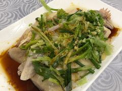 招牌葱油鸡-粤·向群饭店(龙津东路总店)