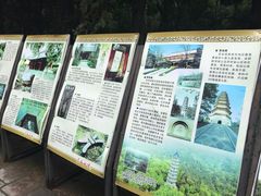 -灵谷景区