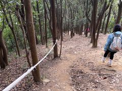 -黄埔油麻山森林公园