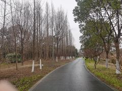 -昆山城市生态森林公园