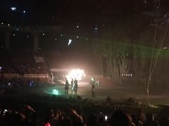 -灵玲国际马戏城