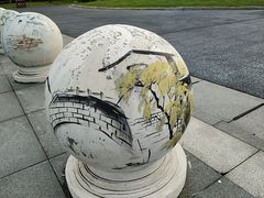 -长田漾湿地公园