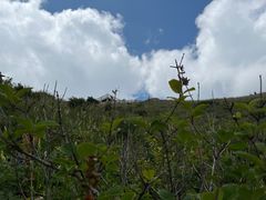 -白草畔自然风景区