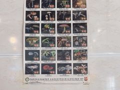 -草墩罗非鱼庄•野生菌•腊排骨(七星街上段店)