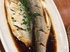 清蒸鲜白鱼-西新饭店(城中店)