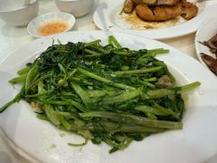 -日日香卤鹅饭店·澄海狮头鹅(澄海店)
