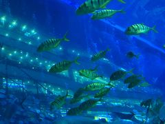 -成都浩海立方海洋公园