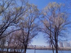 -长白岛森林公园