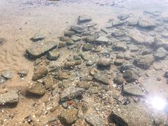 -日照灯塔风景区