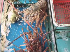 -大东海海鲜酒楼(渔人码头总店)