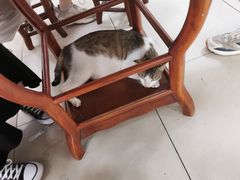 -崖口云吞(石岐店)