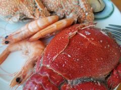 -视界美食自助餐厅·石家庄希尔顿酒店