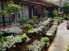 -山菌美食苑(振兴路店)
