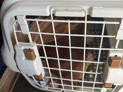 -宠福鑫康馨动物医院·骨科·眼科