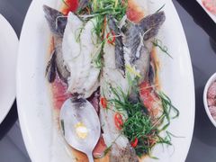 -周正水煮活鱼·吊水鱼(万科店)