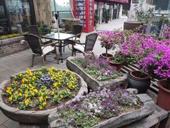 -瓦库茶馆17号(海汇港店)