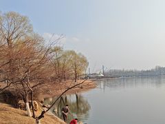 -丁香湖公园