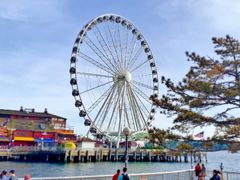 -The Crab Pot Seattle