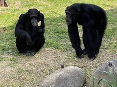 -上海野生动物园