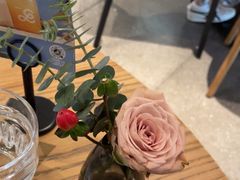 -gaga(深圳南山益田假日广场店)